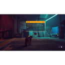 Buy Stray in Egypt | Shamy Stores