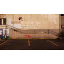 Buy Tony Hawk’s Pro Skater 1 + 2 Ps4 - New in Egypt | Shamy Stores