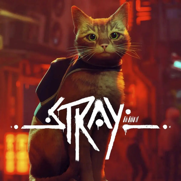 مراجعة لعبة Stray