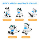 VOICE PROGRAMING STUNT DOG SAN-25-K21