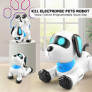 VOICE PROGRAMING STUNT DOG SAN-25-K21