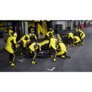 Buy F1 2023 in Egypt | Shamy Stores