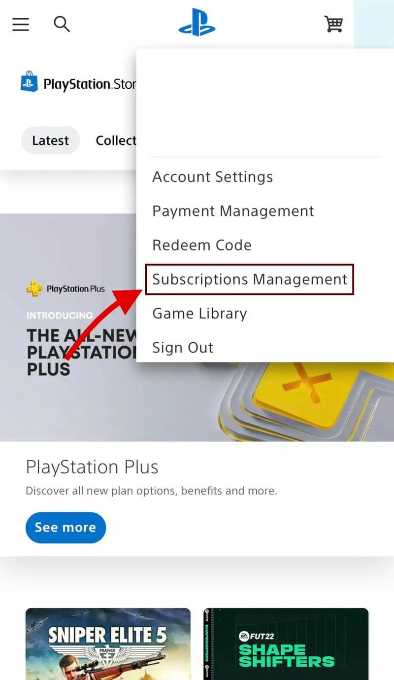 PlayStation Store