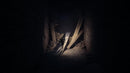 Reanimal – Used (PS5)