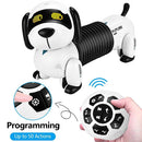 FOLLOW THE DACHSHUND SMART SAN-25-K22