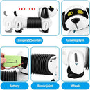 FOLLOW THE DACHSHUND SMART SAN-25-K22