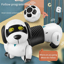 FOLLOW THE DACHSHUND SMART SAN-25-K22