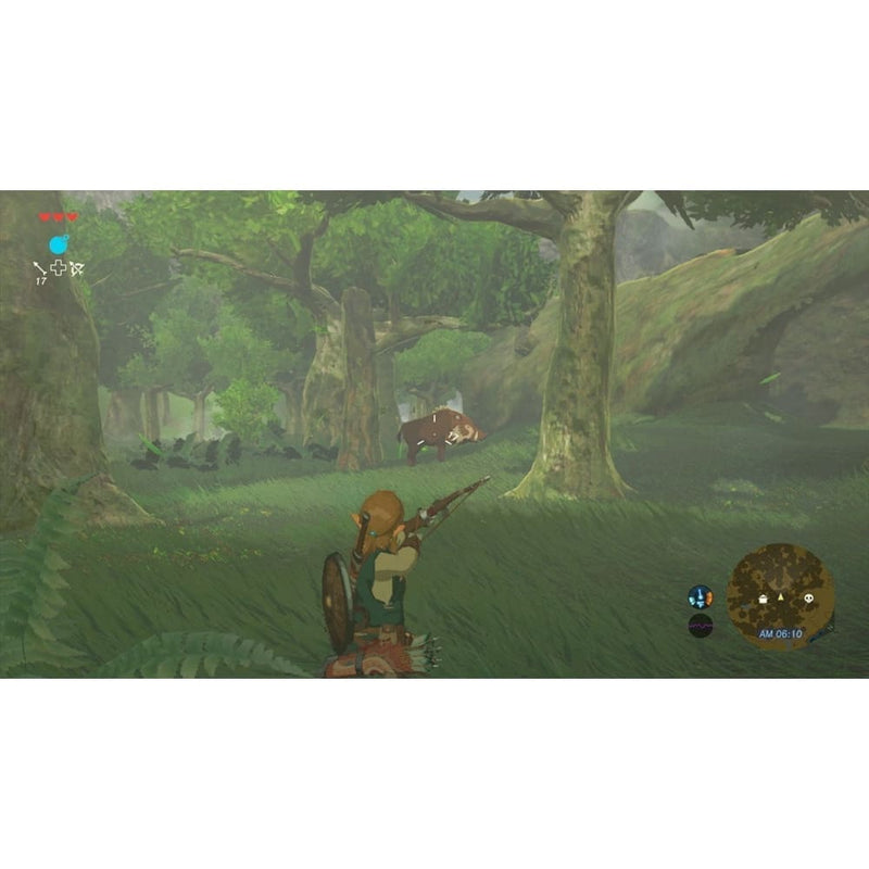 Buy the Legend of Zelda Breath of the Wild New for Switch 2 in Egypt | Shamy Stores