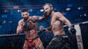 EA Sports UFC 6 – Pre Order (PS5)
