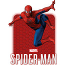 Buy Marvel’s Spider-man: Game of the Year Edition Ps4 - New in Egypt | Shamy Stores