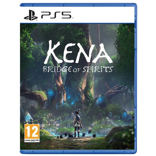 Buy Kena Bridge of Spirits Used in Egypt | Shamy Stores