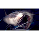 Buy Playstation Vr Worlds Ps4 - New in Egypt | Shamy Stores