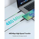 Buy Ravpower Rp-cb047 Type c to Type c for Fast Wired Charging 1m in Egypt | Shamy Stores