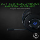 Buy Razer Thresher Stereo Wireless Gaming Headset in Egypt | Shamy Stores