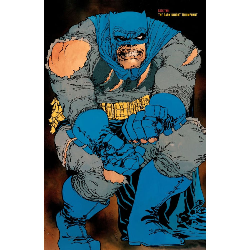 Buy The Dark Knight Comics (1-4 Issues Bundle) In Egypt | Shamy Stores